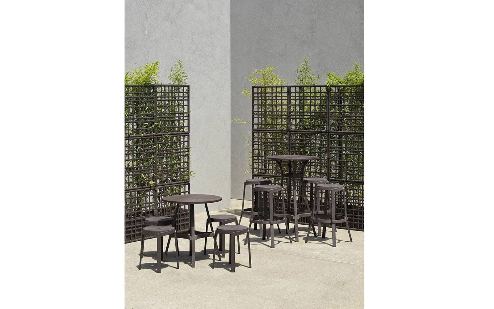 scaun de bar