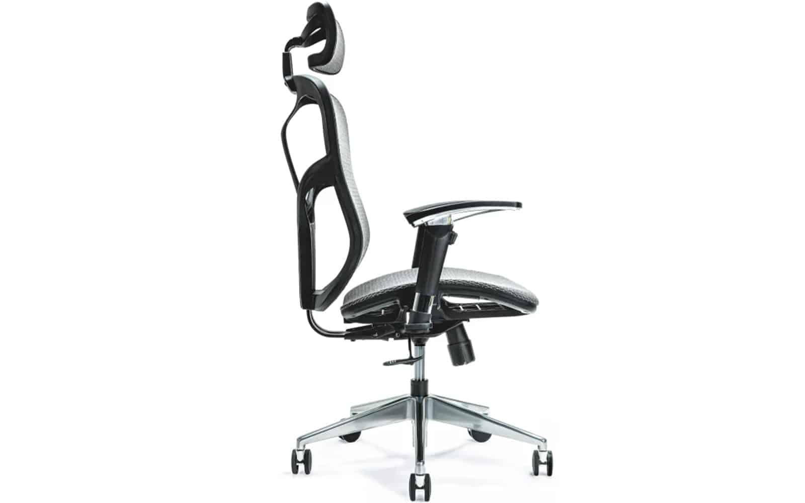 Scaun de birou, ErgoFlex
