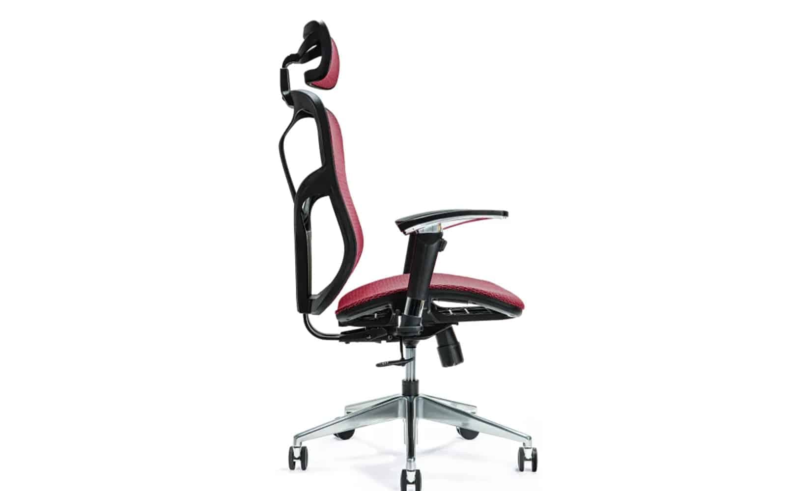 Scaun de birou, ErgoFlex