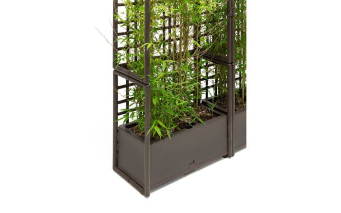 mobilier de lemn masiv