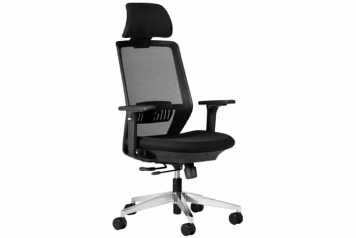 Scaun de birou, ErgoDynamic, Negru
