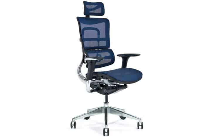 Scaun de birou, ErgoComfort, Plasă Respirabilă, Albastru