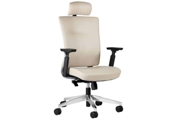 Scaun de birou, ErgoStreamline, Design Elegant și Minimalist, Crem