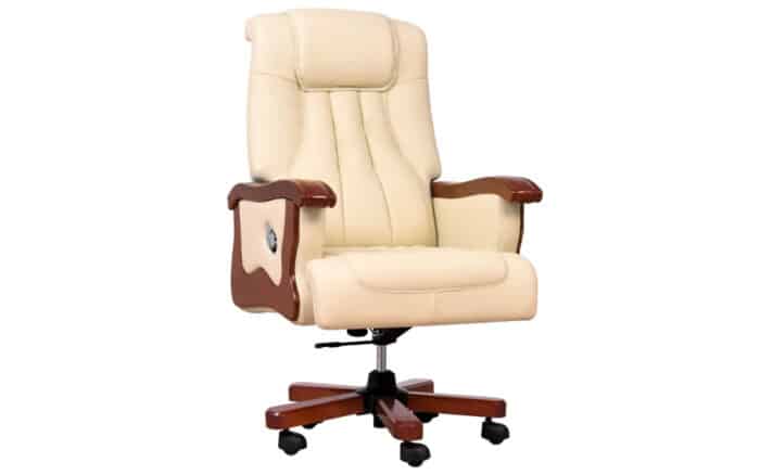 scaun prestigiu directorial 13