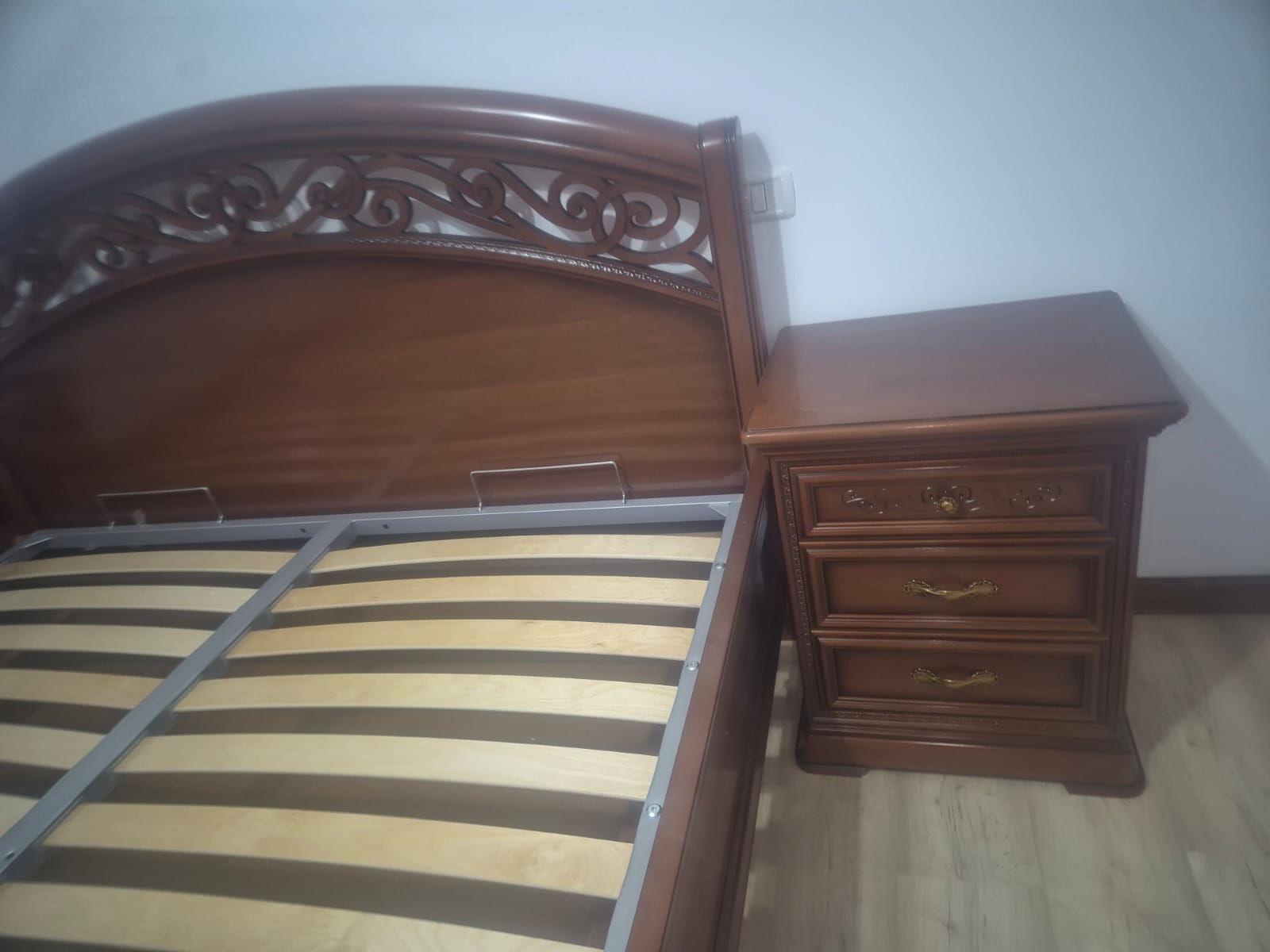 Colectia Bologna nuc